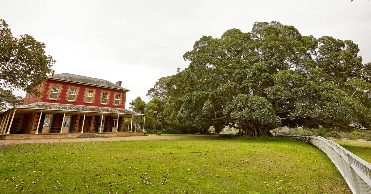 Paterson, NSW Museums and Tours